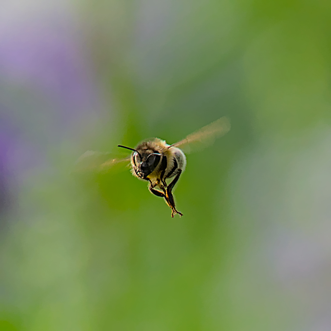 Auf dem Weg zur Schicht ...
